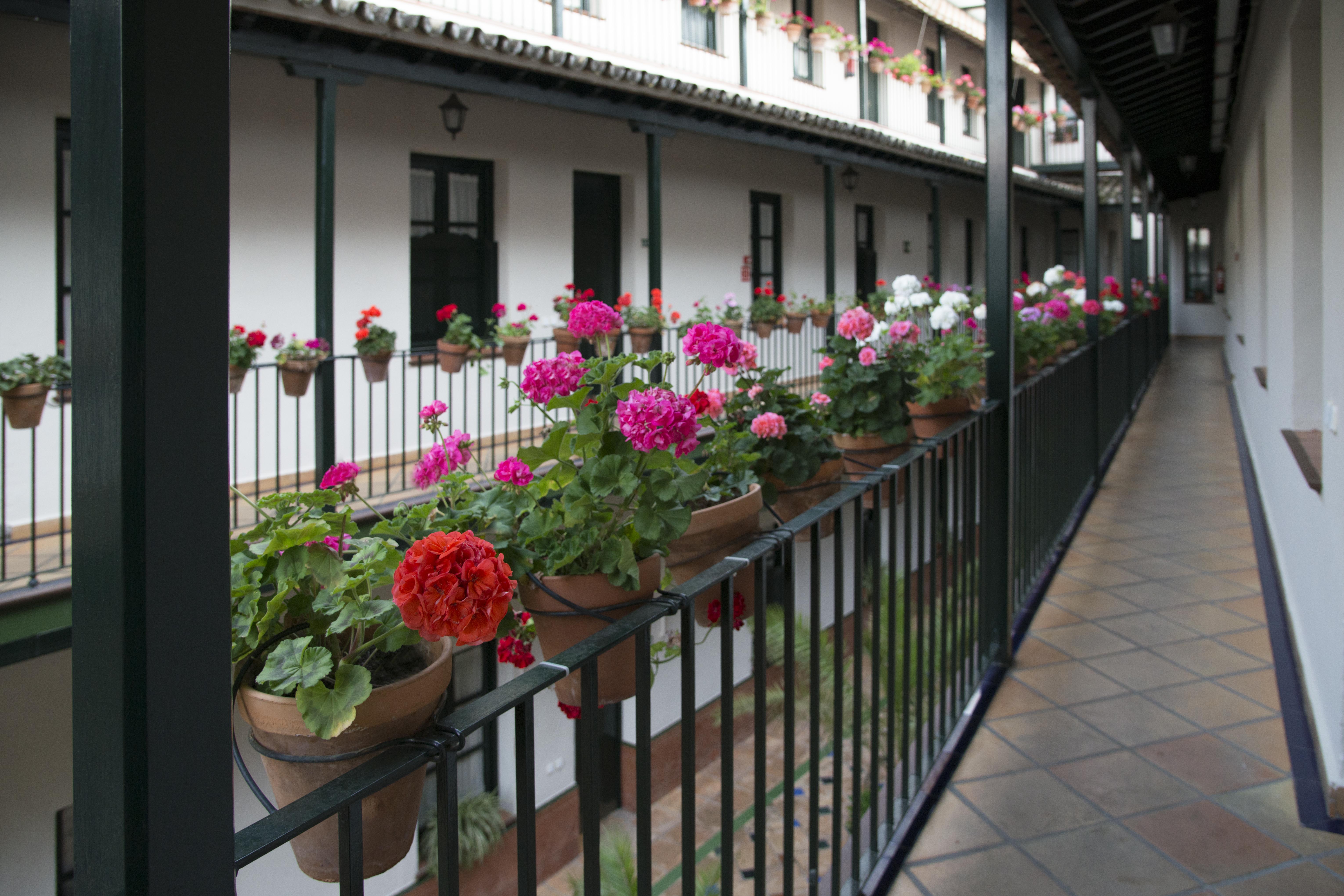 Corral De Los Chicharos Sevilla Exterior foto